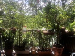 Kingsford Waterbay (D19), Apartment #559647651